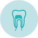 Endodoncja